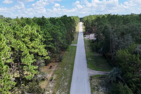 Land in Dunnellon, Florida № 1399284 - photo 4