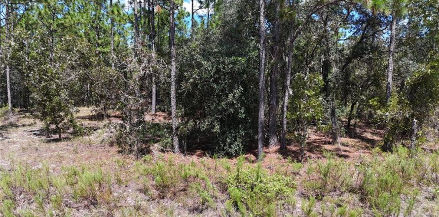 Land in Dunnellon, Florida № 1399284