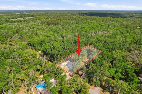 House in Crystal River, Florida 3 bedrooms, 130.06 sq.m. № 2120002 - photo 10