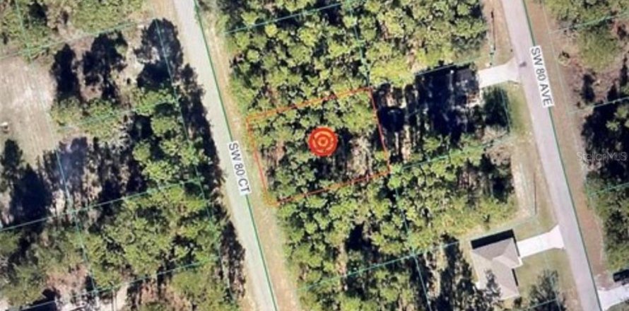 Terrain à Ocala, Floride № 2158671