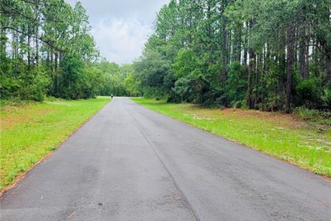 Terrain à vendre à Ocala, Floride № 2158671 - photo 3