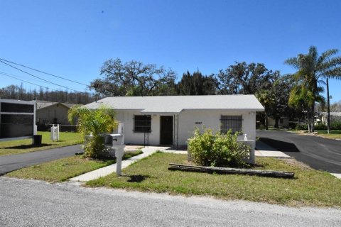 Immobilier commercial à louer à New Port Richey, Floride: 98.2 m2 № 1874048 - photo 2