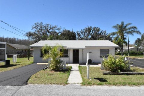 Immobilier commercial à louer à New Port Richey, Floride: 98.2 m2 № 1874048 - photo 1
