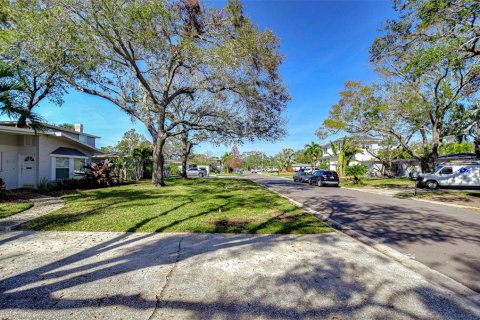 Land in Tampa, Florida № 1525792 - photo 5
