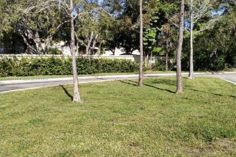 Commercial property in Coral Springs, Florida № 1752884 - photo 3