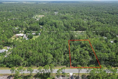 Terrain à vendre à Bunnell, Floride № 2213129 - photo 8