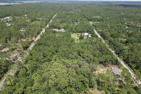 Terrain à vendre à Bunnell, Floride № 2213129 - photo 15