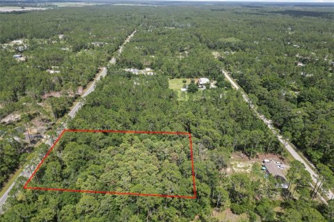 Terrain à vendre à Bunnell, Floride № 2213129 - photo 6