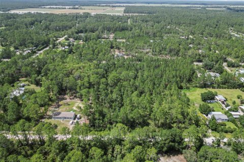 Terrain à vendre à Bunnell, Floride № 2213129 - photo 13
