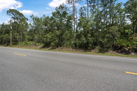 Terrain à vendre à Bunnell, Floride № 2213129 - photo 2