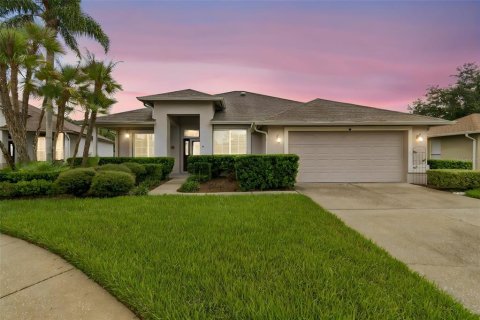 Villa ou maison à vendre à Valrico, Floride: 4 chambres, 179.86 m2 № 2275643 - photo 3