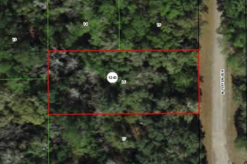 Land in Dunnellon, Florida № 2162653