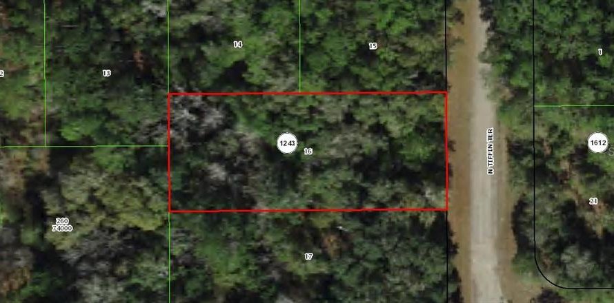 Land in Dunnellon, Florida № 2162653