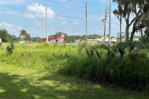 Terreno en venta en Eustis, Florida № 1722149 - foto 5