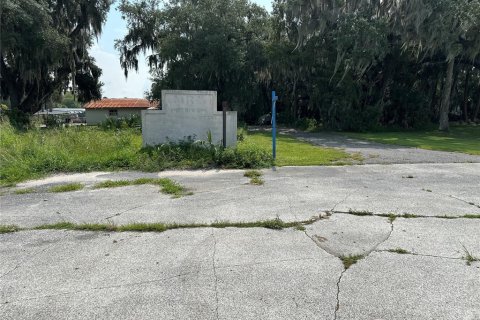 Terreno en venta en Eustis, Florida № 1722149 - foto 1