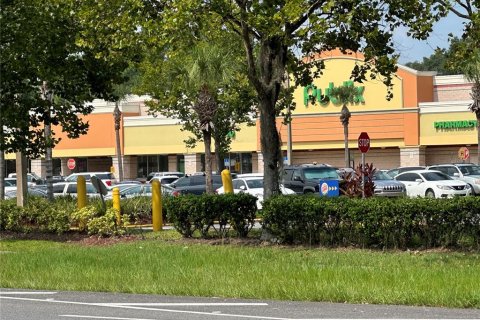 Terreno en venta en Eustis, Florida № 1722149 - foto 7