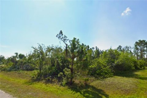 Land in Port Charlotte, Florida № 2259478 - photo 5