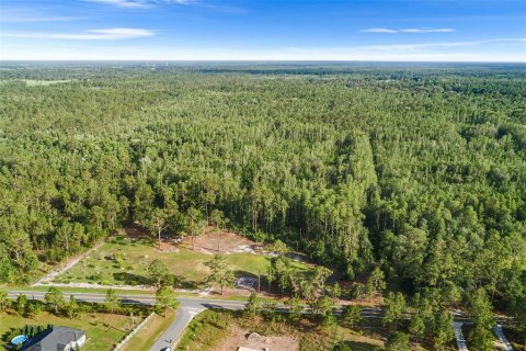 Terreno en venta en Polk City, Florida № 1786870 - foto 5
