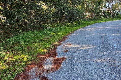 Land in Poinciana, Florida № 2162658 - photo 2