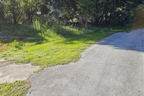 Land in Poinciana, Florida № 2162658 - photo 4