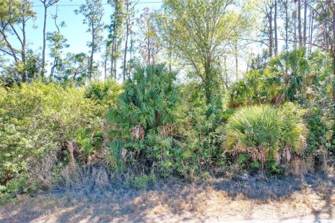 Land in North Port, Florida № 2160935 - photo 4