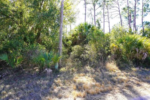 Land in North Port, Florida № 2160935 - photo 2