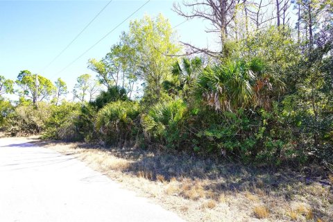 Land in North Port, Florida № 2160935 - photo 3
