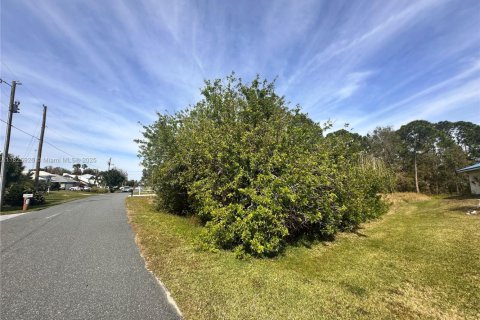 Terrain à vendre à Lake Placid, Floride № 2053214 - photo 2