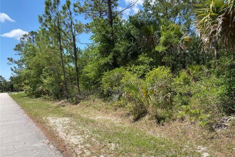 Land in Palm Coast, Florida № 1755283 - photo 1