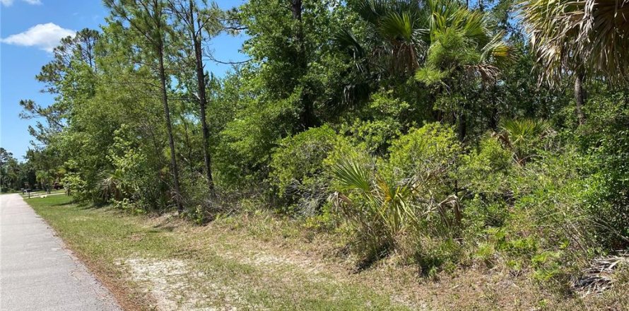 Terrain à Palm Coast, Floride № 1755283