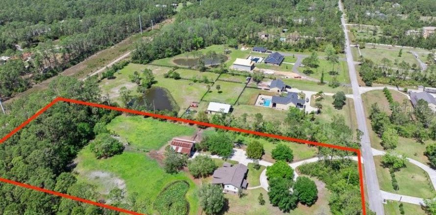 House in Ormond Beach, Florida 5 bedrooms, 288.93 sq.m. № 1626808