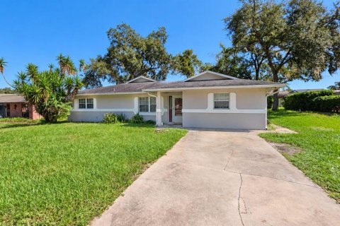 Villa ou maison à Zephyrhills, Floride 3 chambres, 116.31 m2 № 2420058