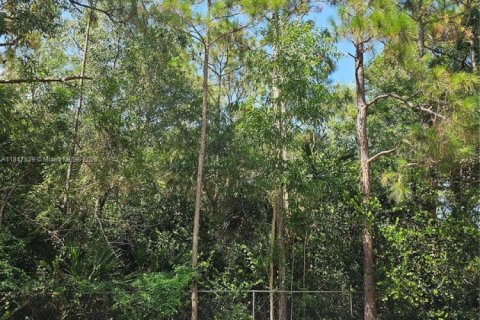 Land in West Palm Beach, Florida № 1851959 - photo 2