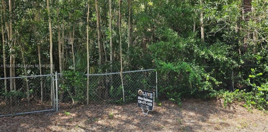 Land in West Palm Beach, Florida № 1851959