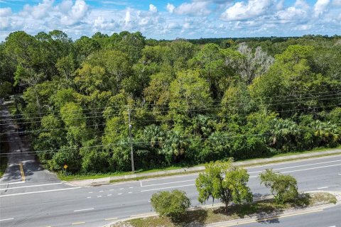 Terrain à Gainesville, Floride № 2349235