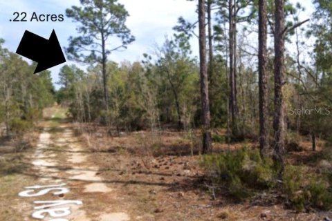 Land in Interlachen, Florida № 2164185 - photo 2