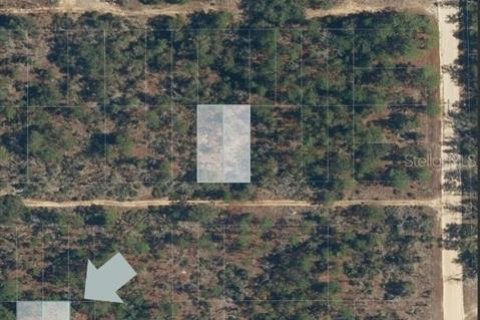 Land in Interlachen, Florida № 2164185 - photo 5