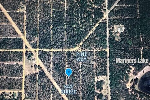 Land in Interlachen, Florida № 2164185 - photo 4
