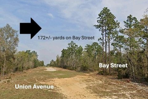 Land in Interlachen, Florida № 2164185 - photo 3