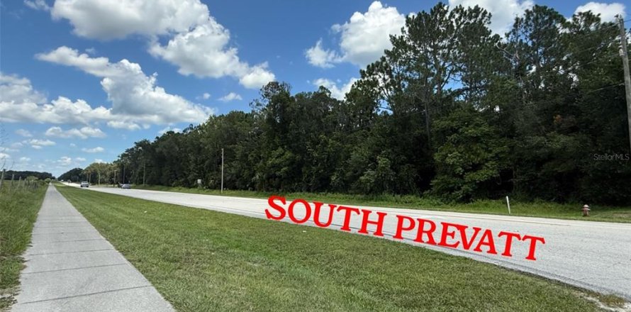 Land in Lake Helen, Florida № 1876948
