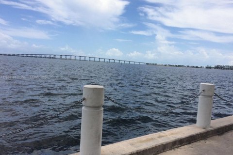 Condominio en alquiler en Miami, Florida, 55.74 m2 № 1927853 - foto 16