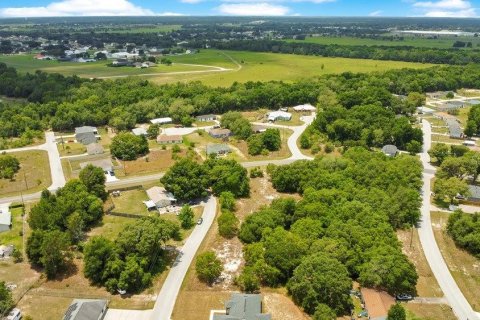 Land in Ocala, Florida № 2165398 - photo 19