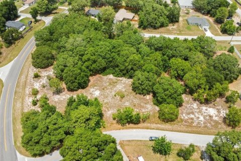 Land in Ocala, Florida № 2165398 - photo 4