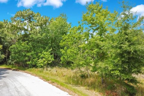 Land in Ocala, Florida № 2165398 - photo 3