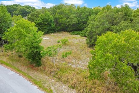 Land in Ocala, Florida № 2165398