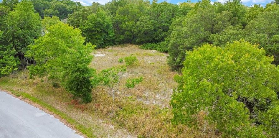 Land in Ocala, Florida № 2165398
