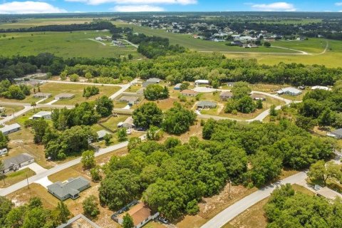 Land in Ocala, Florida № 2165398 - photo 18