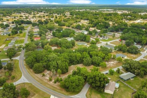 Land in Ocala, Florida № 2165398 - photo 14