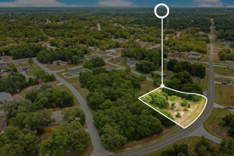 Land in Ocala, Florida № 2165398 - photo 13