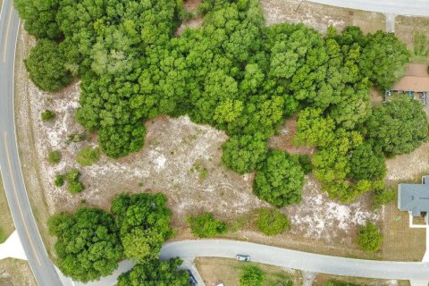 Land in Ocala, Florida № 2165398 - photo 6
